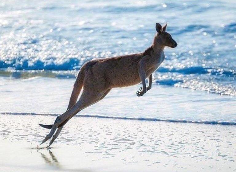 Bed and Breakfast The Red Sparrow | Cairns | Queensland | Australia 15