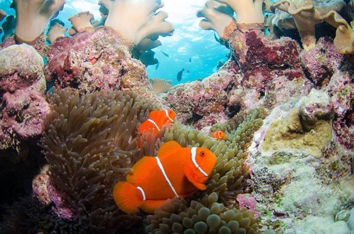 Bed and Breakfast The Red Sparrow | Cairns | Queensland | Australia 16