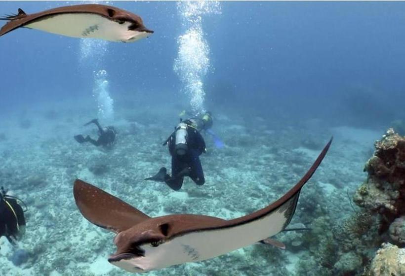 Bed and Breakfast The Red Sparrow | Cairns | Queensland | Australia 7