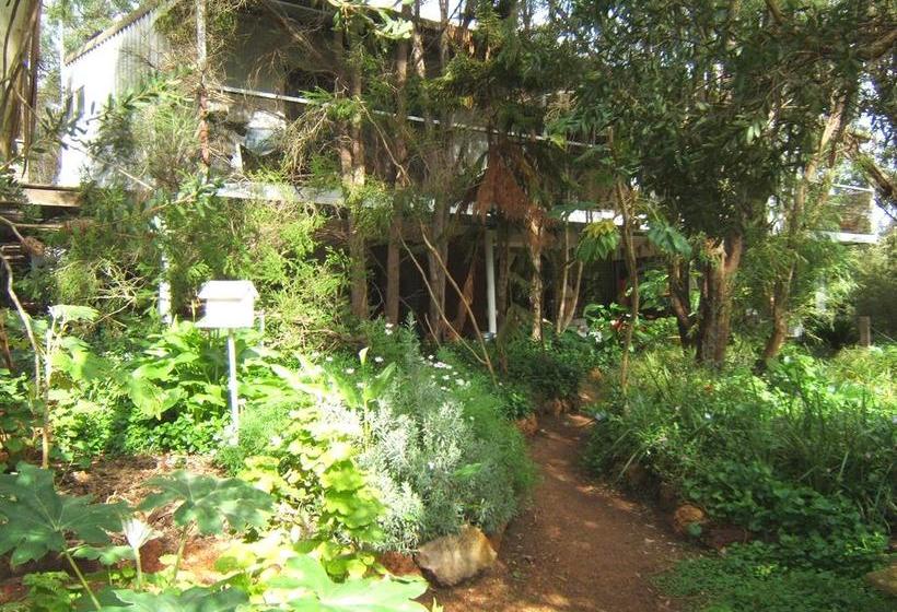 Whispering Pines Bed And Breakfast | Collie | Western Australia | Australia 19