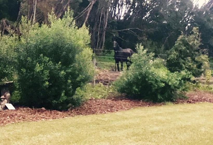 Bed and Breakfast Driftaway On Dundas | Rye | Victoria | Australia 8