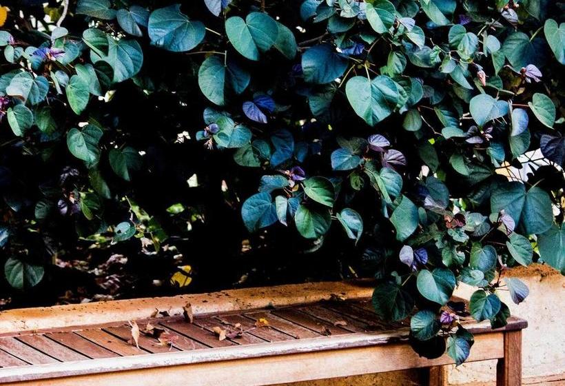 Motel Oasis Newman | Newman | Western Australia | Australia 1