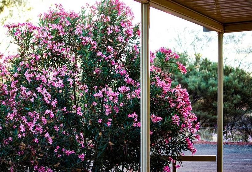 Motel Oasis Newman | Newman | Western Australia | Australia 17