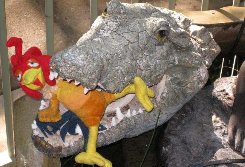 Bed and Breakfast Palmerston Sunset Retreat | Palmerston | Northern Territory | Australia 19