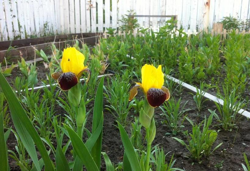 Auntie Zhu B&b | Saskatoon | Saskatchewan | Canada 1