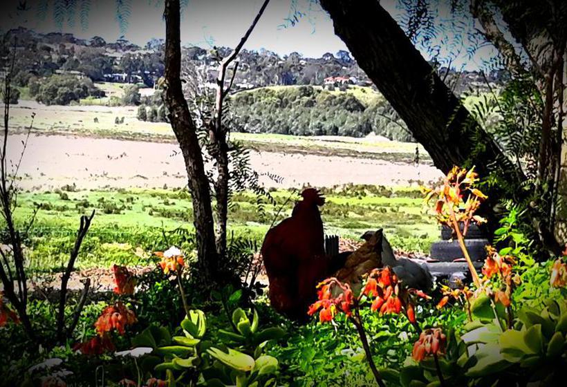 Bed and Breakfast A La Folly | Murray Bridge | South Australia | Australia 20