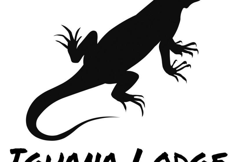 Hostel Iguana Lodge | Sydney | New South Wales | Australia 15