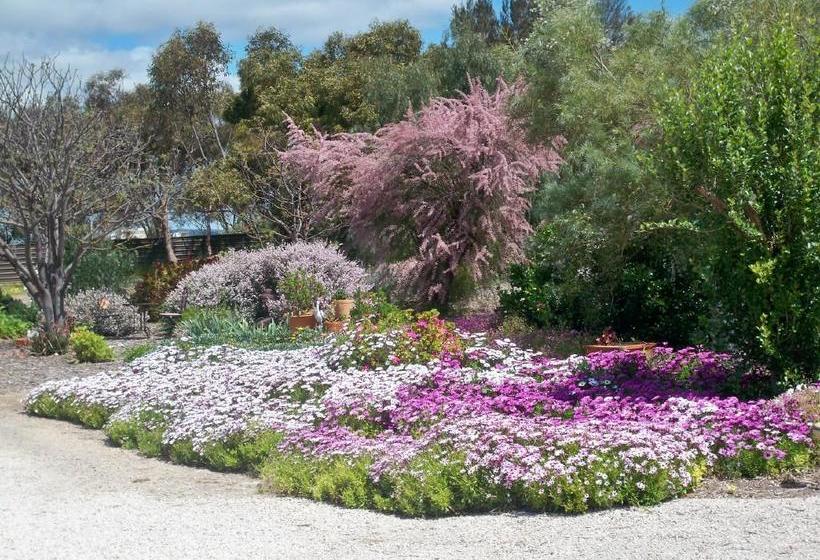Ashwood Park Bed And Breakfast | Keith | South Australia | Australia 2
