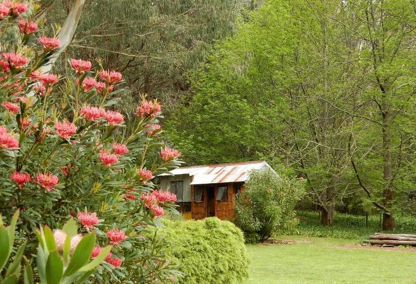 The Canvas Barn B&b | Warburton | Victoria | Australia 8