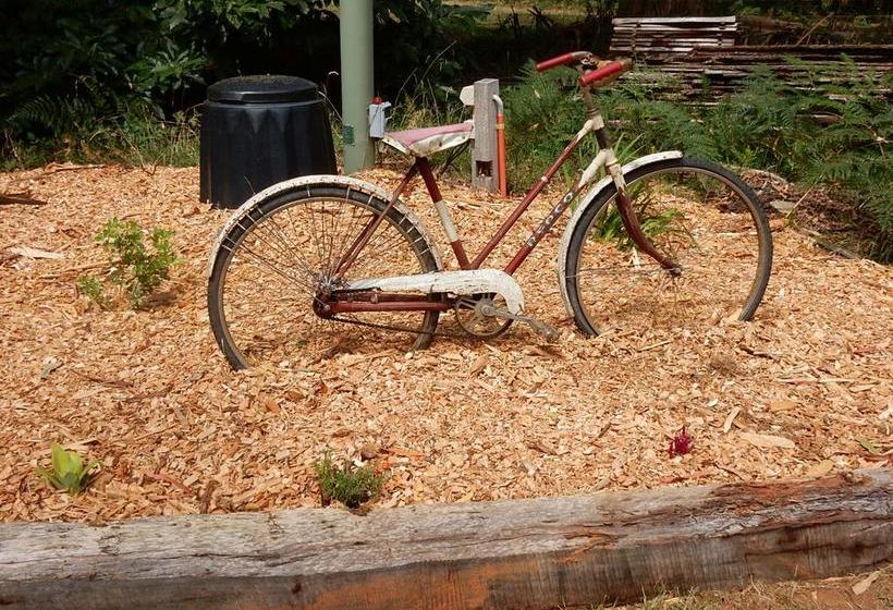 The Canvas Barn B&b | Warburton | Victoria | Australia 9