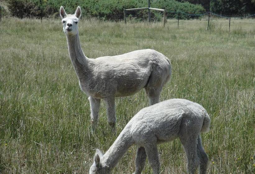 Bed and Breakfast Cape Nelson Retreat | Portland | Victoria | Australia 10