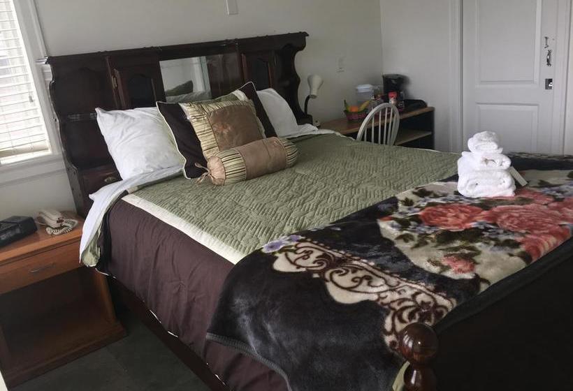 Bed and Breakfast White House