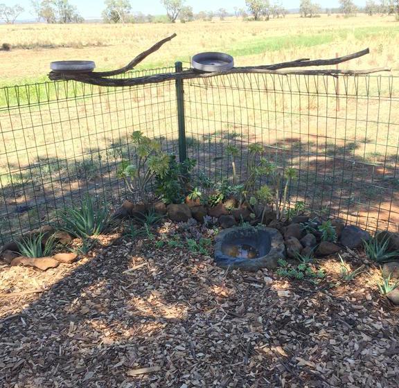 Resort Aussie Cabins | Dubbo | New South Wales | Australia 19