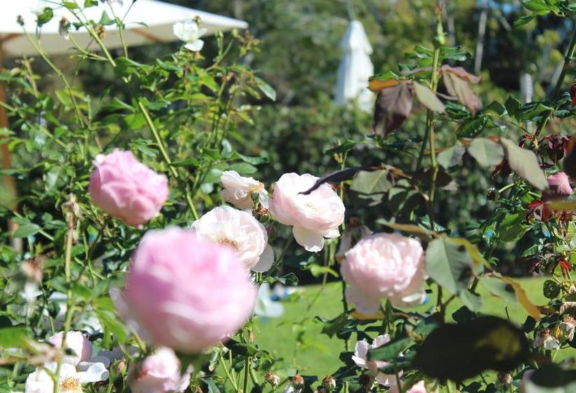 Bed and Breakfast Peppertrees | Forster | New South Wales | Australia 3