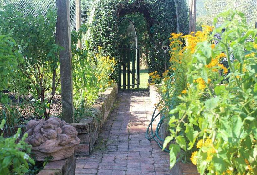 Bed and Breakfast Peppertrees | Forster | New South Wales | Australia 5