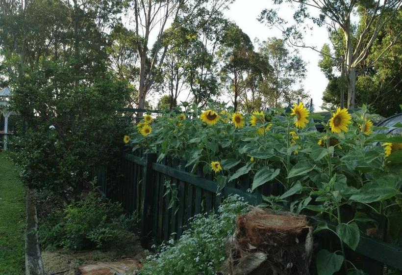 Bed and Breakfast Peppertrees | Forster | New South Wales | Australia 6