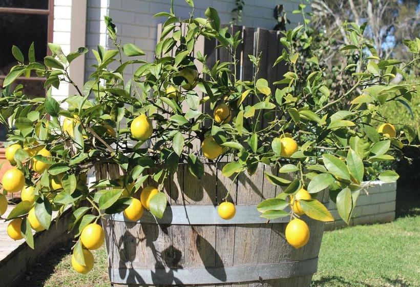 Bed and Breakfast Peppertrees | Forster | New South Wales | Australia 7