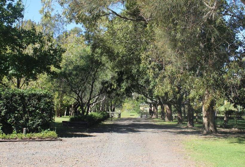 Bed and Breakfast Peppertrees | Forster | New South Wales | Australia 8