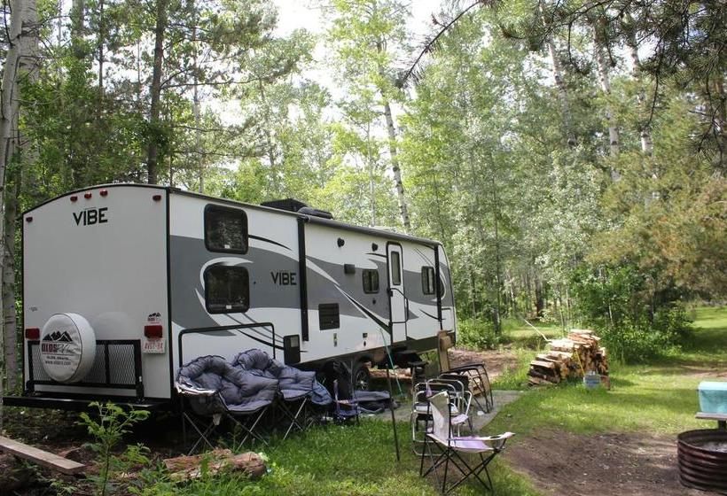 Cougar Mountain Lodge B&b | Valemount | British Columbia | Canada 16