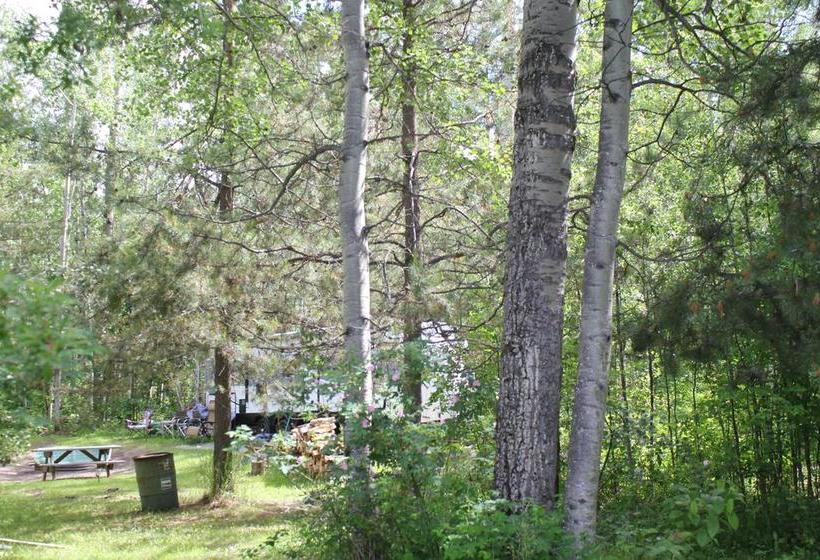 Cougar Mountain Lodge B&b | Valemount | British Columbia | Canada 18