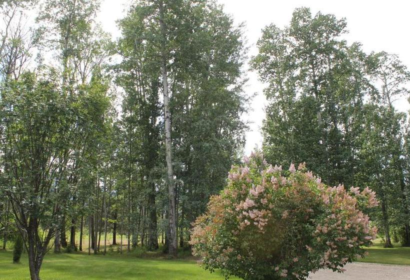 Cougar Mountain Lodge B&b | Valemount | British Columbia | Canada 19