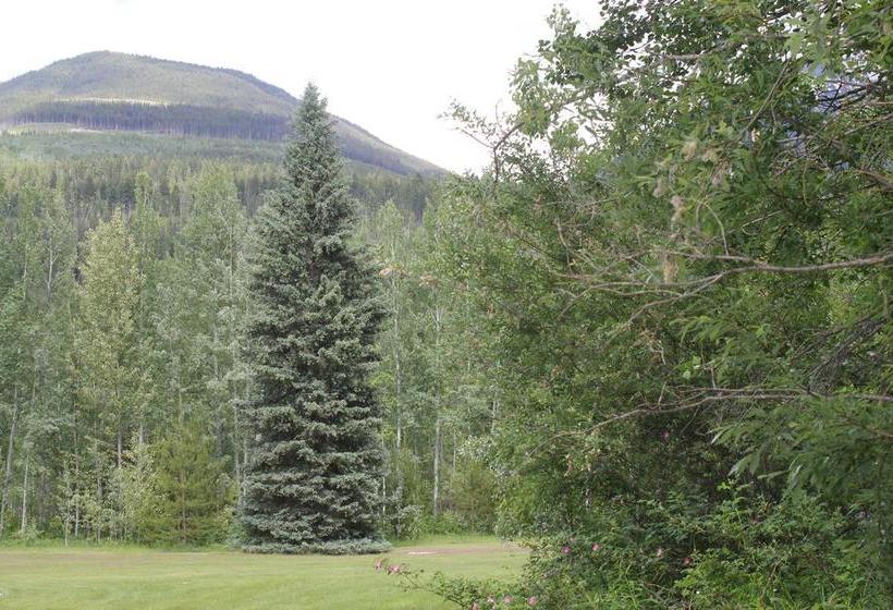 Cougar Mountain Lodge B&b | Valemount | British Columbia | Canada 3