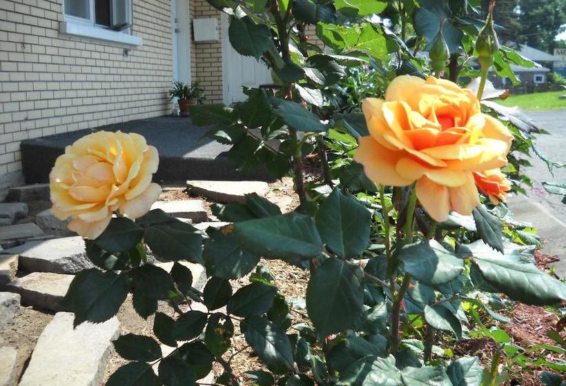 Motel Le Jardin | Quebec | Quebec | Canada 18