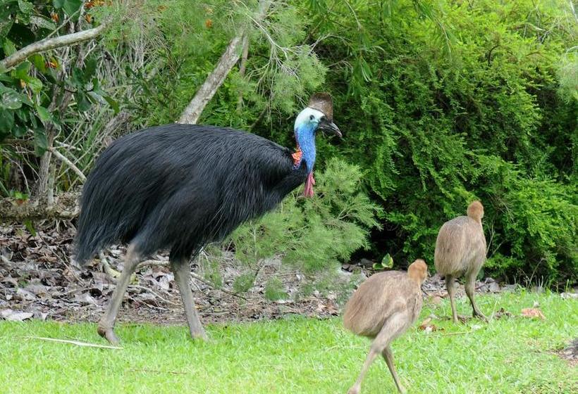 Resort Sejala Beach Huts | Mission Beach | Queensland | Australia 14