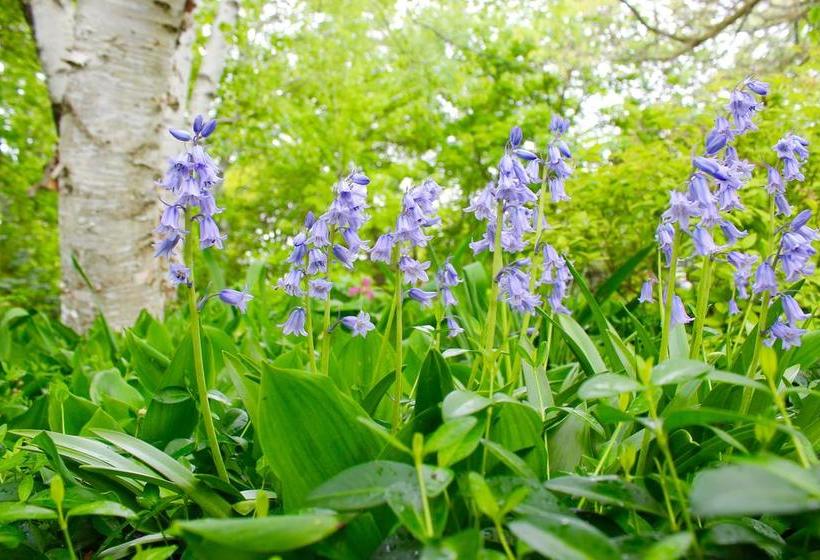 Swan Motel Stratford Ontario