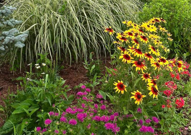 Swan Motel | Stratford | Ontario | Canada 16