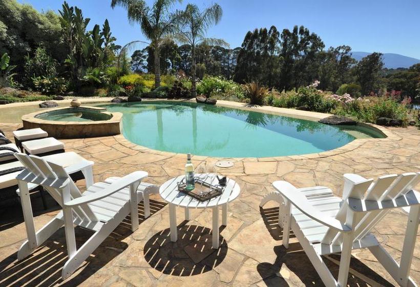 Dalblair Bed & Breakfast | Melbourne | Victoria | Australia 7