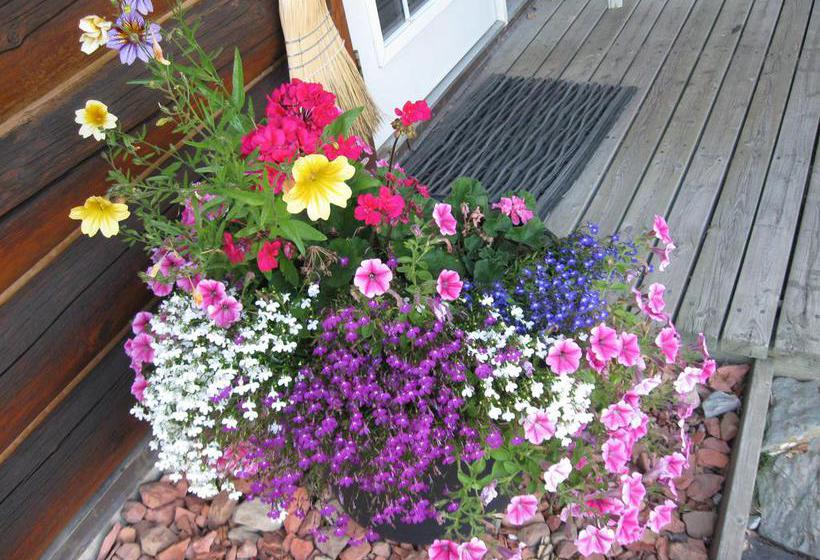 Mclaren Lodge Bed & Breakfast | Golden | British Columbia | Canada 14