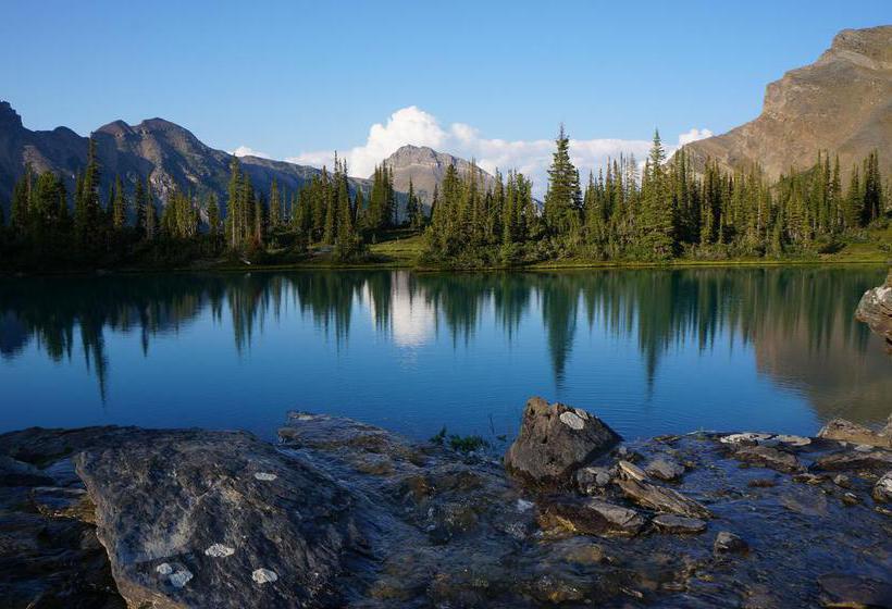 Mclaren Lodge Bed & Breakfast | Golden | British Columbia | Canada 19