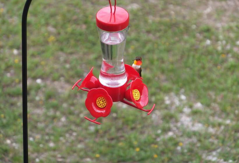 Bed and Breakfast Tschurtschenthaler Lodge | Golden | British Columbia | Canada 5