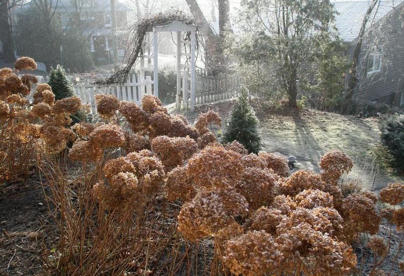 Bed and Breakfast Bed&Breakfast Ô Bois Dormant | Magog | Quebec | Canada 12