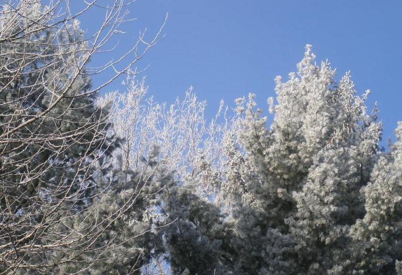 Bed and Breakfast Bed&Breakfast Ô Bois Dormant | Magog | Quebec | Canada 13