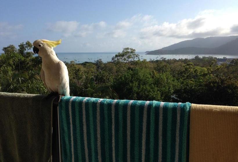 Island View Bed & Breakfast | Airlie Beach | Queensland | Australia 16