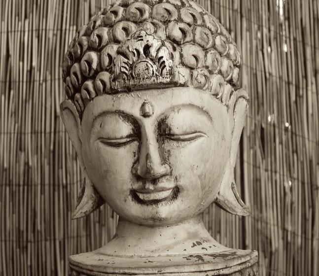 Island View Bed & Breakfast | Airlie Beach | Queensland | Australia 18