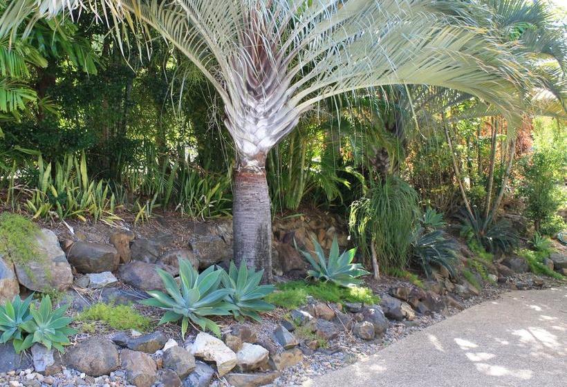 Island View Bed & Breakfast | Airlie Beach | Queensland | Australia 8