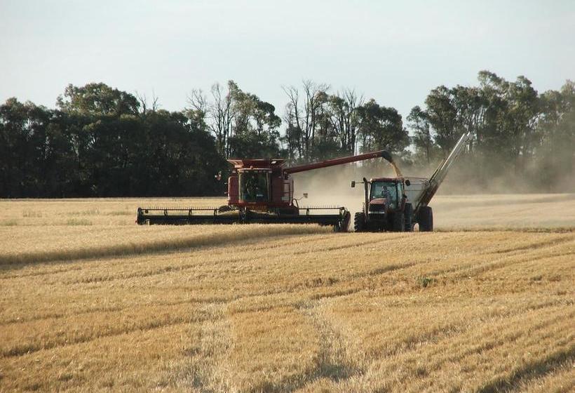 Motel Chinchilla White Gums Motor Inn | Chinchilla | Queensland | Australia 16
