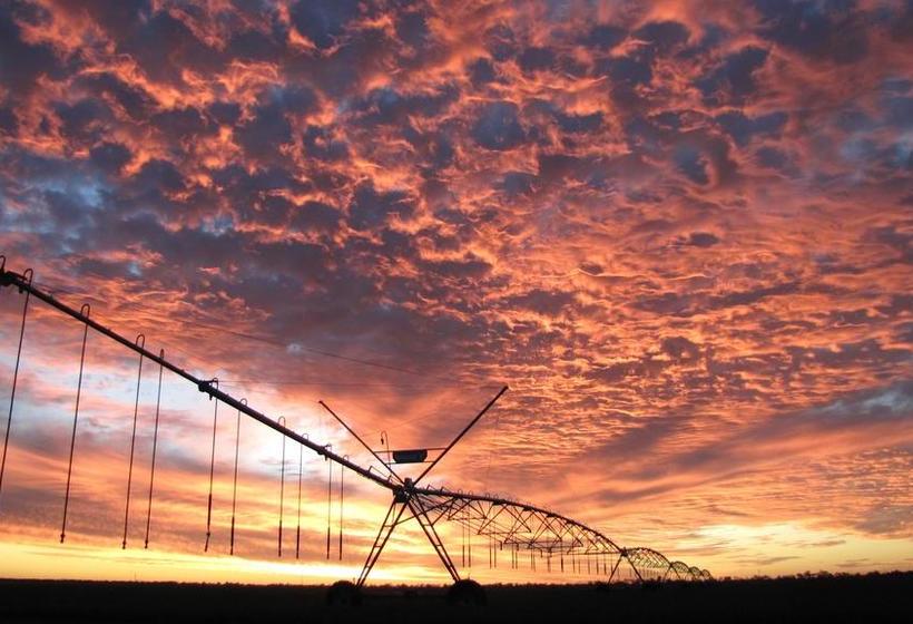 Motel Chinchilla White Gums Motor Inn | Chinchilla | Queensland | Australia 20