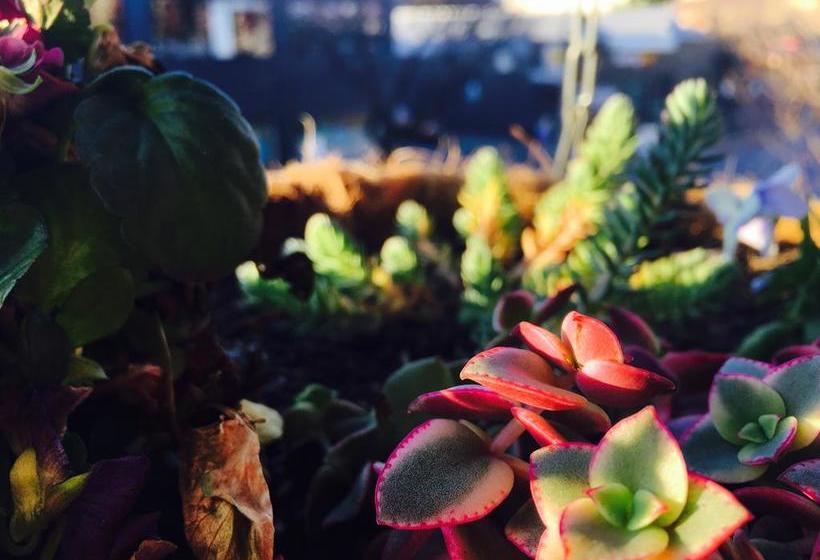 My Place & Adelaide Backpackers Hostel | Adelaide | South Australia | Australia 15