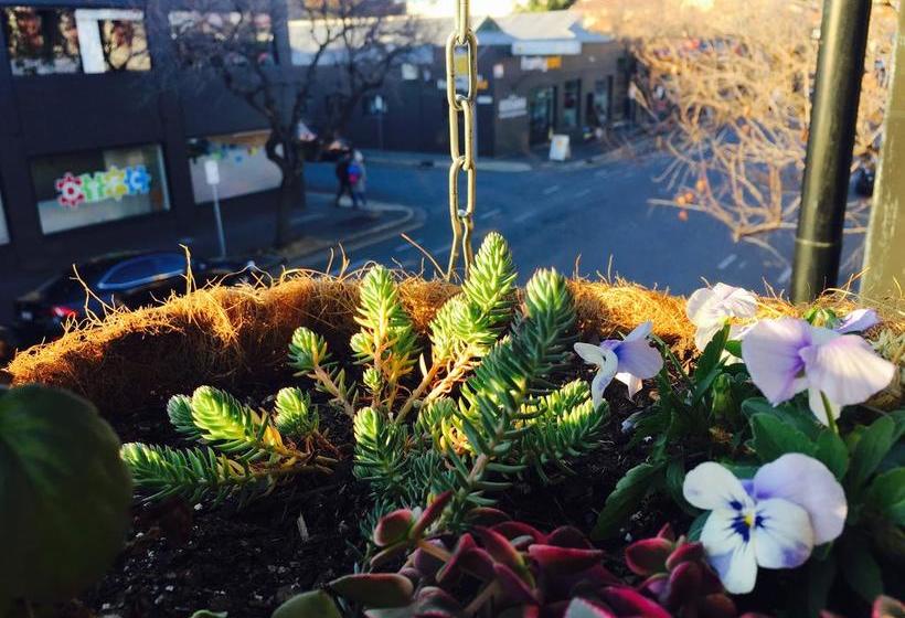 My Place & Adelaide Backpackers Hostel | Adelaide | South Australia | Australia 16