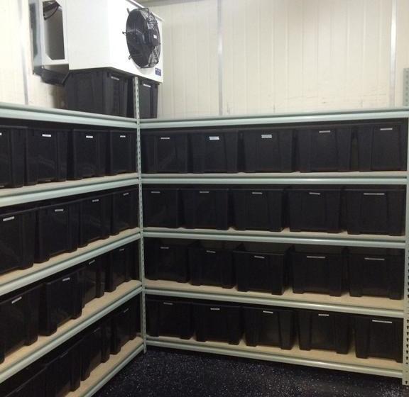 Hostel Bambu Backpackers Perth | Perth | Western Australia | Australia 17