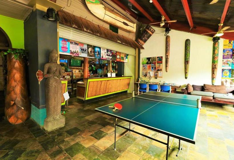 Hostel Bambu Backpackers Perth | Perth | Western Australia | Australia 5