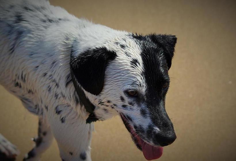 Hostel Backpackers at 1770 | Agnes Waters | Queensland | Australia 9