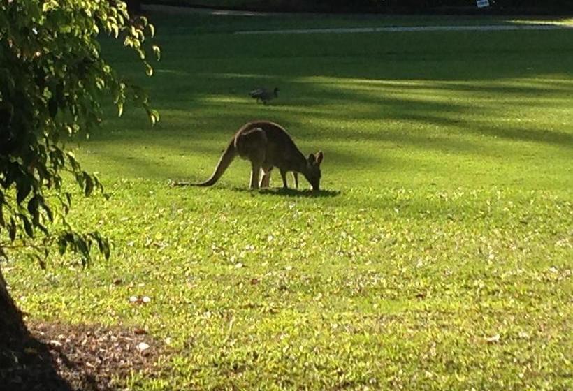 Hostel Noosa Flashpackers | Sunshine Beach | Queensland | Australia 9