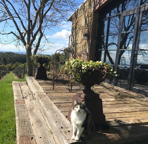 Bed and Breakfast Frogs Pond | Red Hill | Victoria | Australia 10