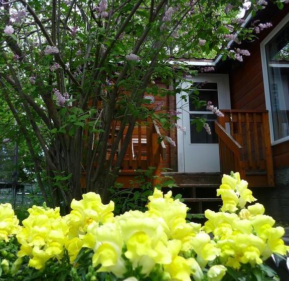 Bed and Breakfast 803 Patricia Street Accommodation | Jasper | Alberta | Canada 12