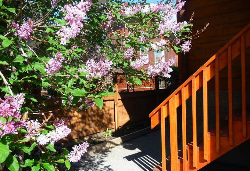 Bed and Breakfast 803 Patricia Street Accommodation | Jasper | Alberta | Canada 5